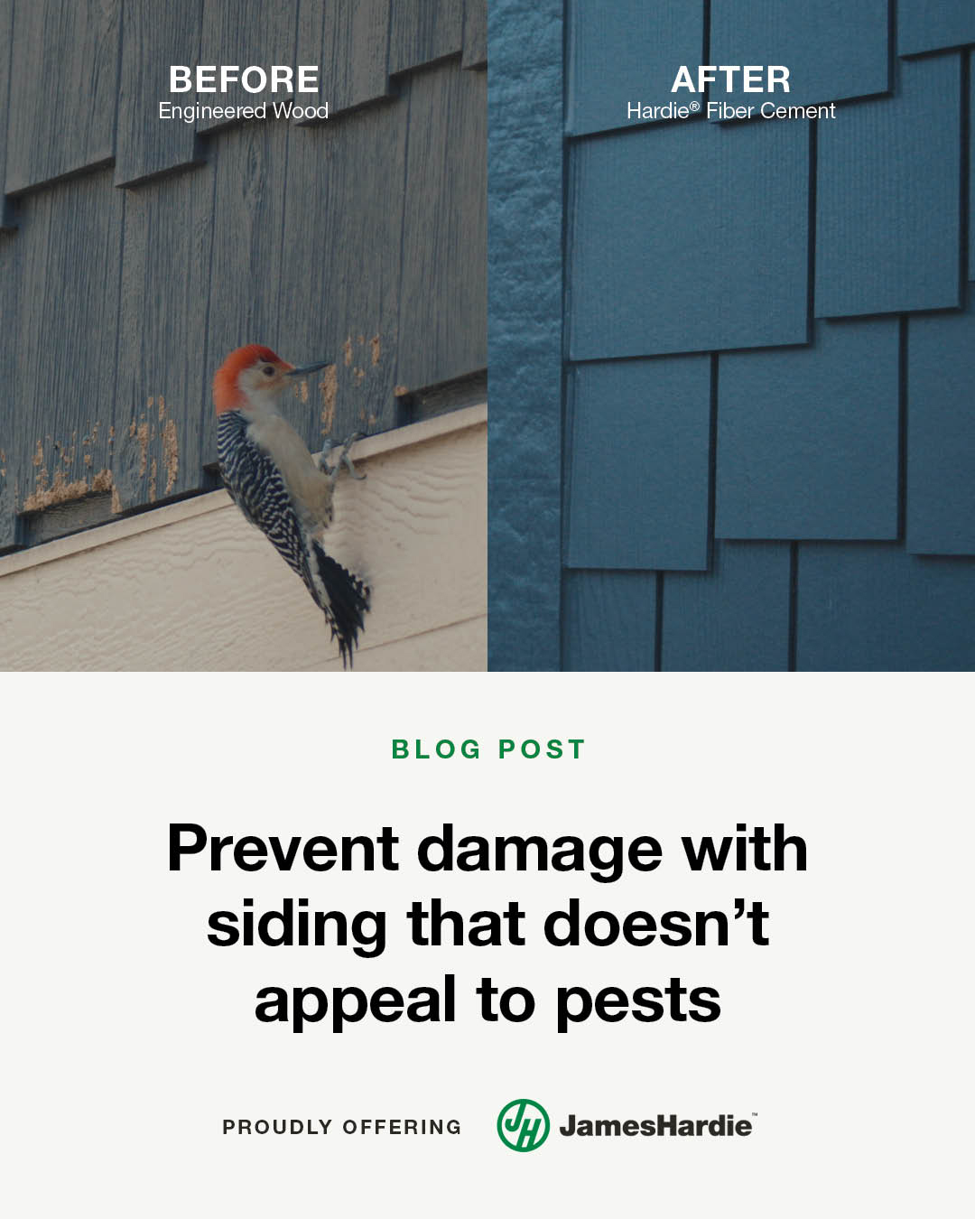 Woodpecker Siding